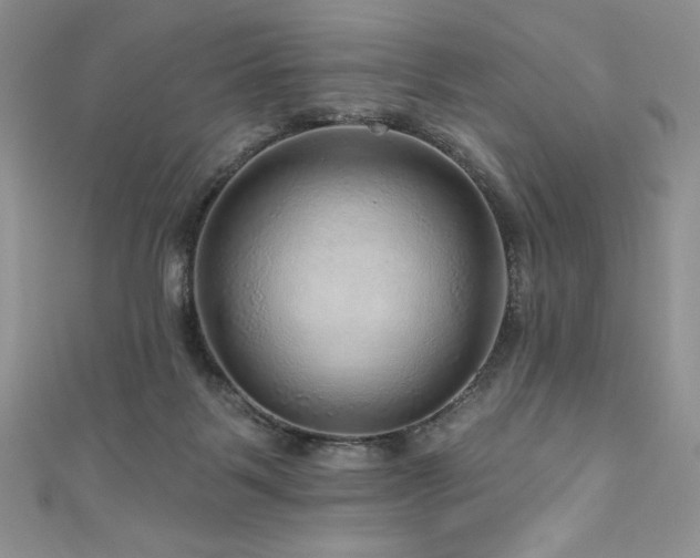 X0000111200123200907011441