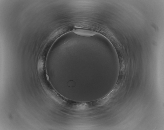 X0000111200124200907011441