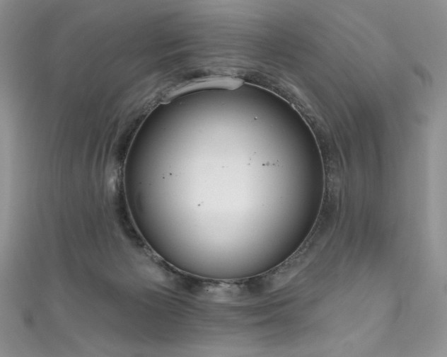 X0000111200125200907011441