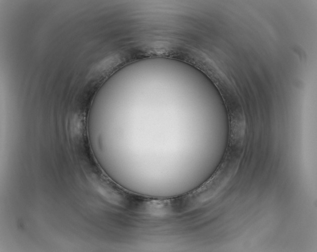 X0000111200126200907011441