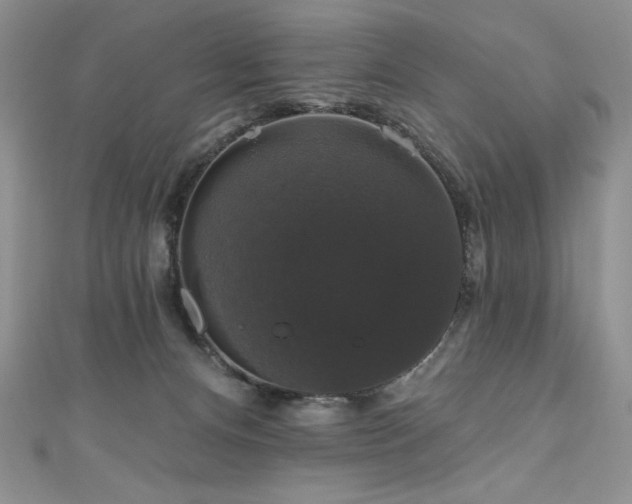 X0000111200128200907011441