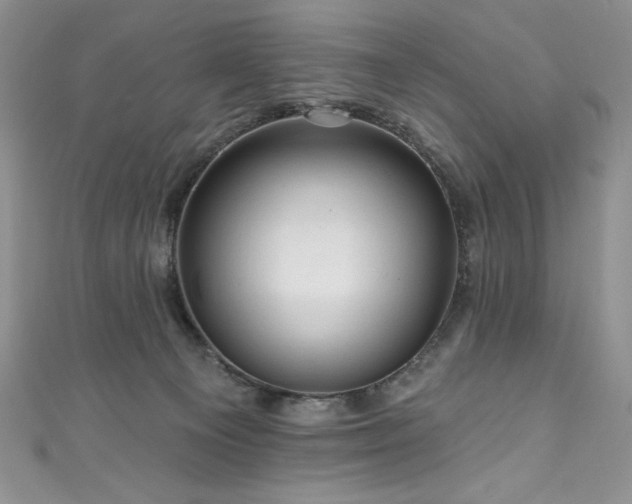 X0000111200129200907011441