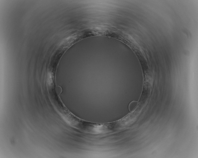 X0000111200130200907011441