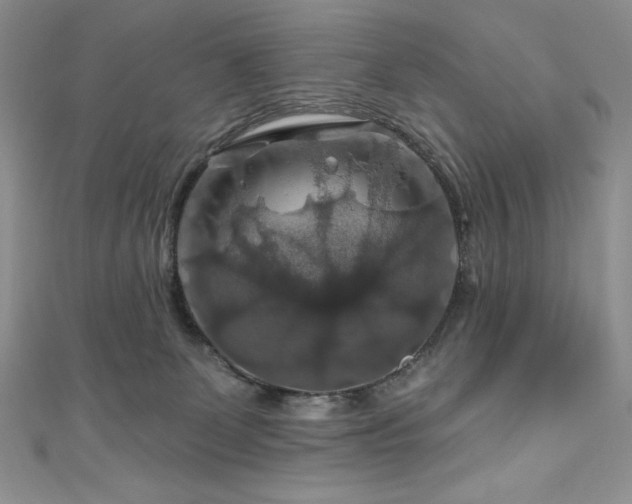 X0000111200131200907011441