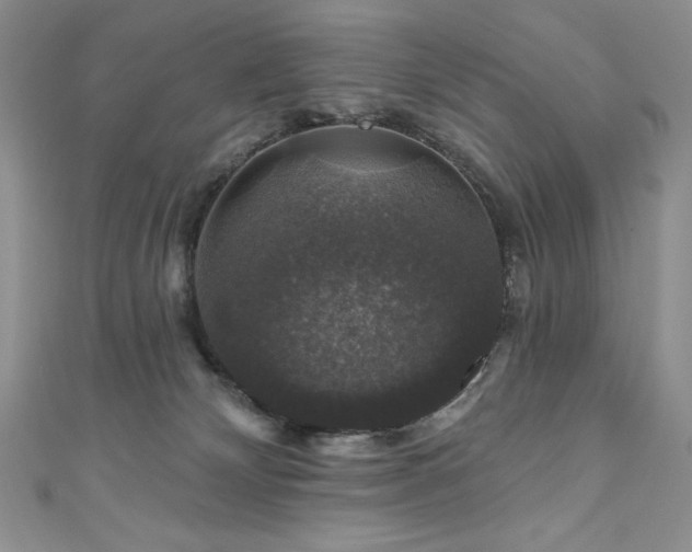 X0000111200132200907011441