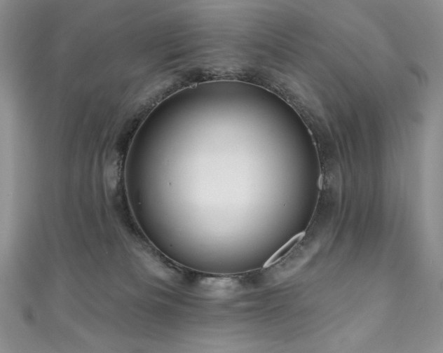 X0000111200133200907011441