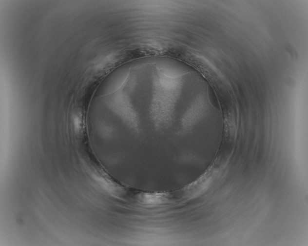 X0000111200134200907011441