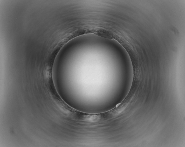 X0000111200135200907011441