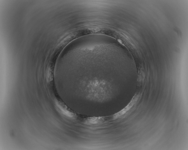 X0000111200136200907011441