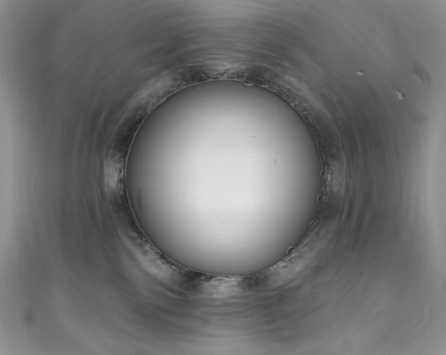 X0000111200138200907011441