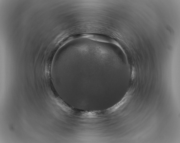 X0000111200140200907011441