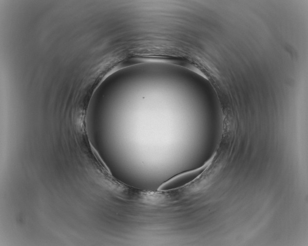 X0000111200141200907011441