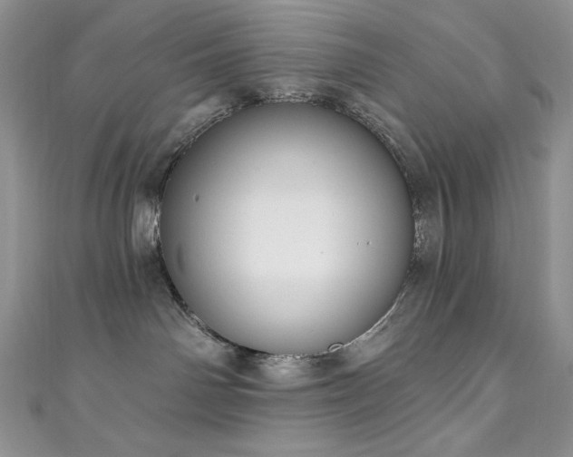 X0000111200142200907011441