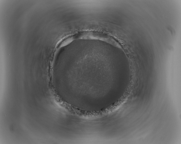 X0000111200144200907011441