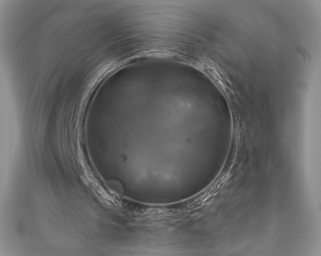 X0000111200145200907011440