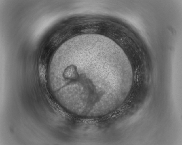 X0000111200146200907011440