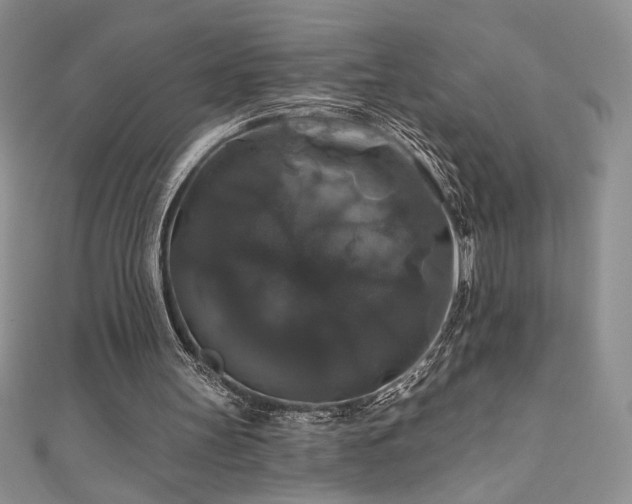 X0000111200147200907011440