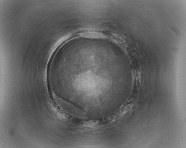 X0000111200148200907011440