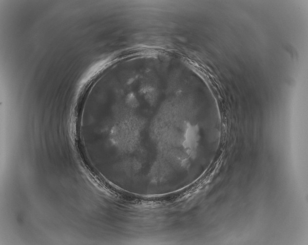 X0000111200149200907011440