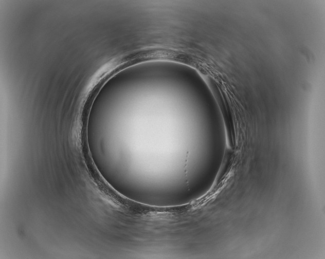 X0000111200150200907011440