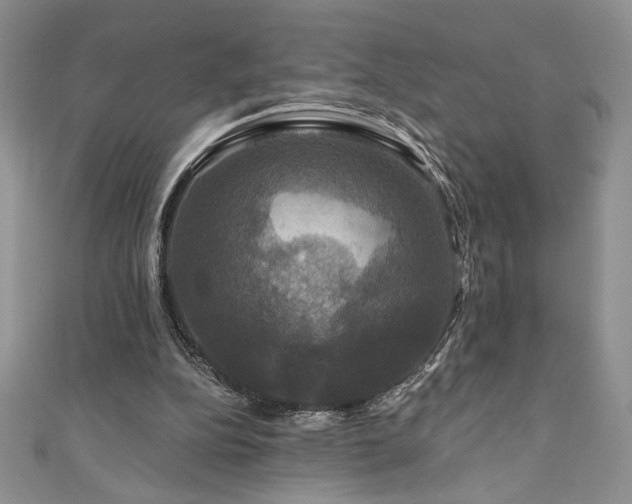 X0000111200152200907011440