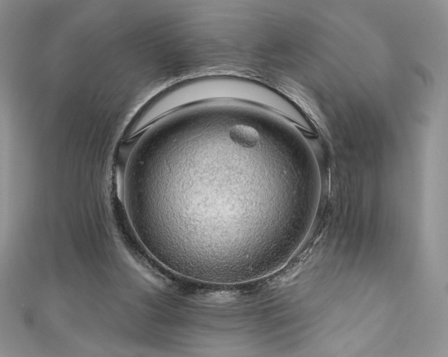 X0000111200156200907011440