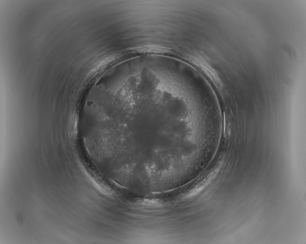 X0000111200157200907011440