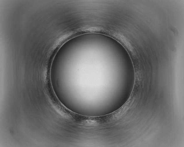 X0000111200159200907011440