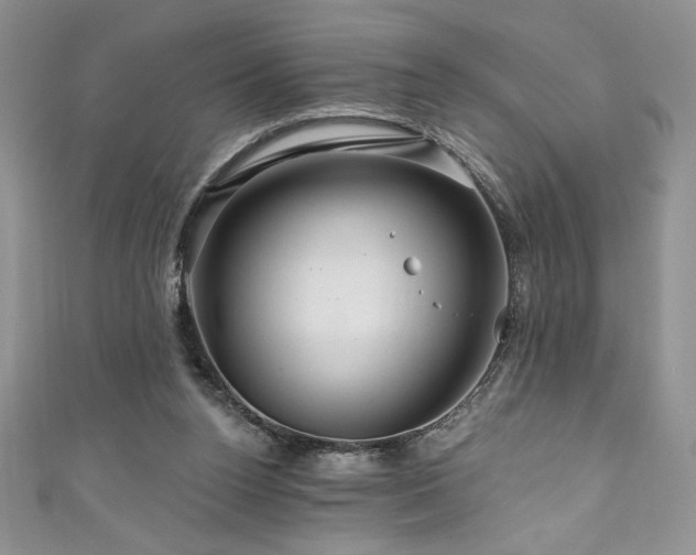 X0000111200160200907011440