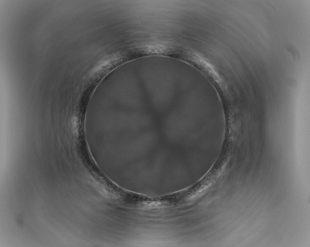 X0000111200161200907011440