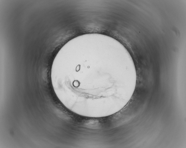 X0000111200162200907011440