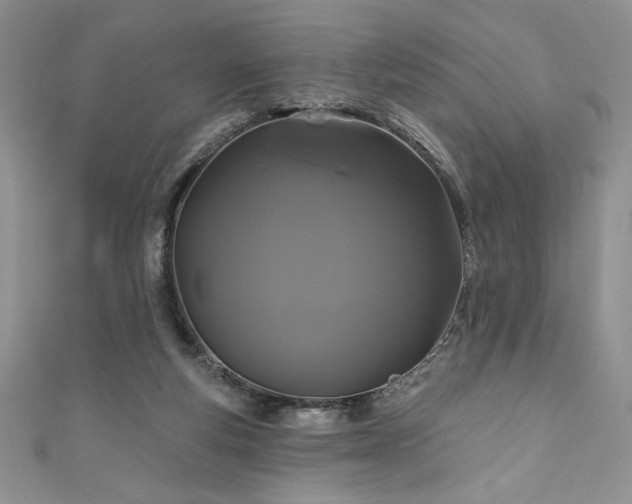 X0000111200163200907011440