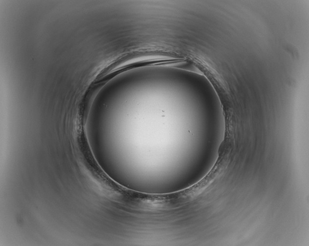 X0000111200164200907011440