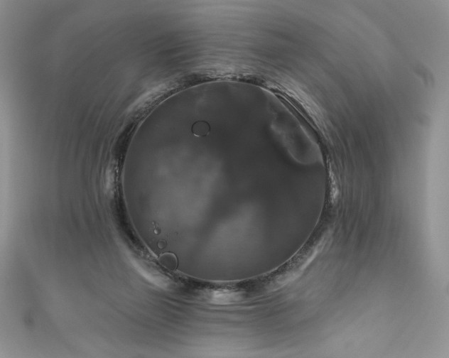 X0000111200165200907011440