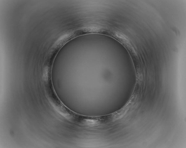 X0000111200167200907011440