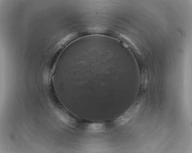 X0000111200168200907011440