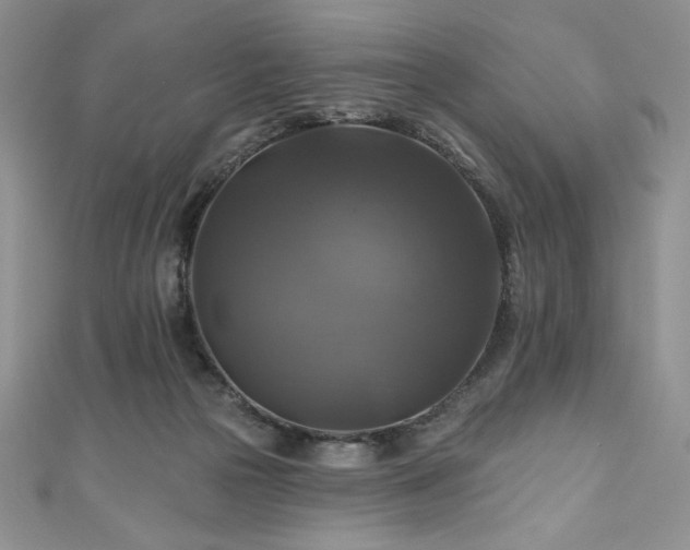 X0000111200169200907011440