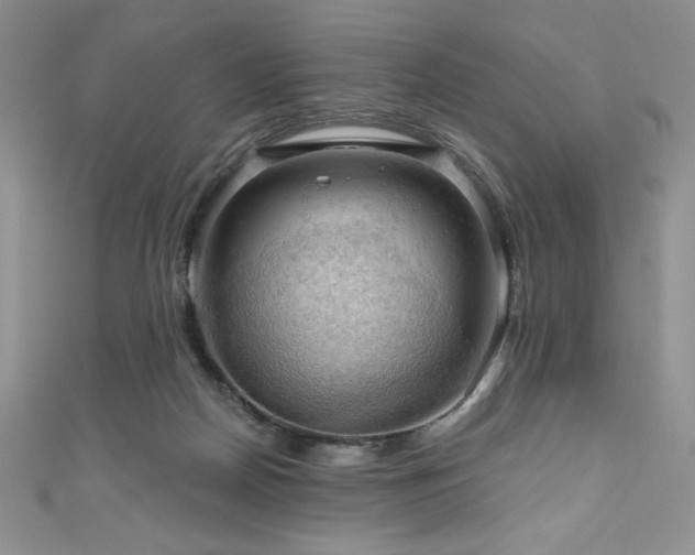 X0000111200170200907011440