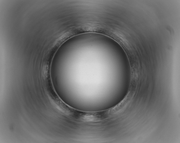 X0000111200171200907011440