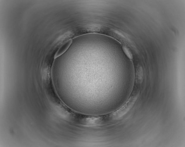 X0000111200172200907011441