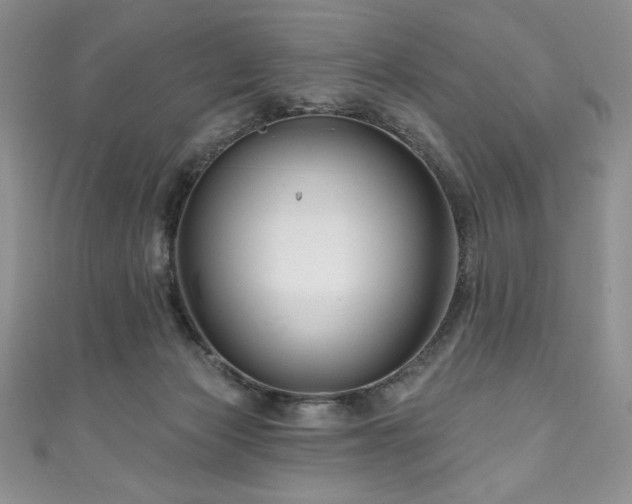 X0000111200173200907011441