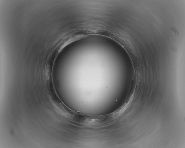 X0000111200174200907011441