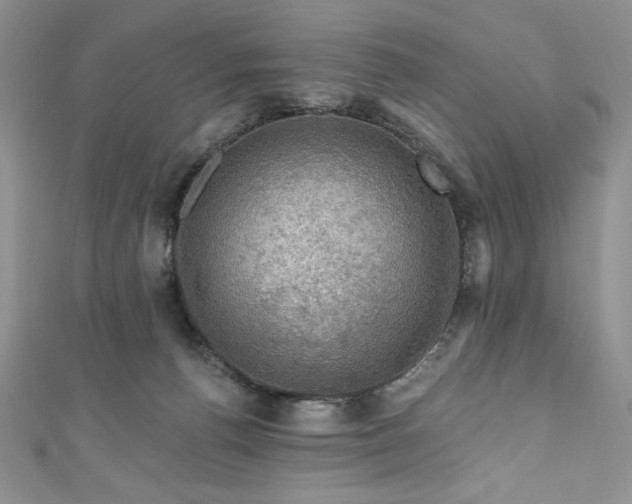 X0000111200176200907011441