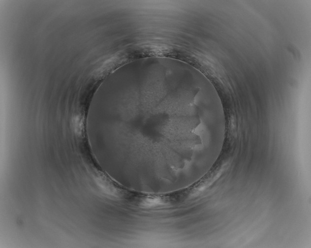 X0000111200177200907011441