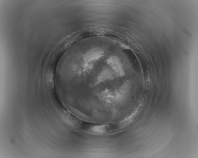 X0000111200178200907011441