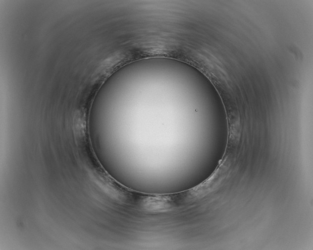 X0000111200179200907011441