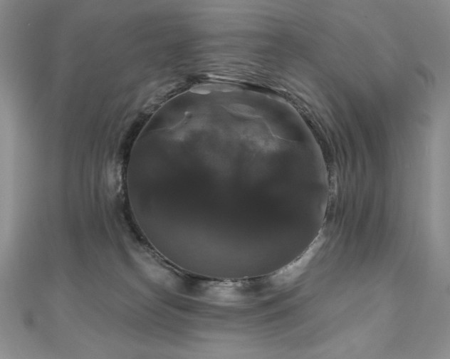 X0000111200182200907011441