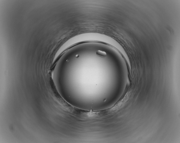 X0000111200184200907011441