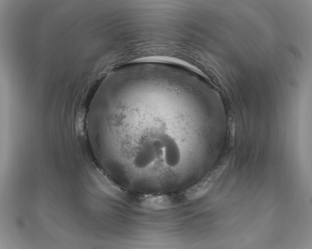 X0000111200185200907011441