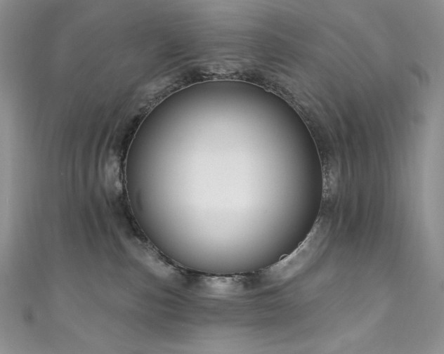 X0000111200187200907011441